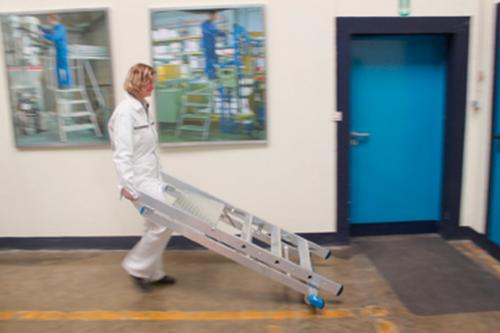 Leitergerüst modular, Podesthöhe 700 mm