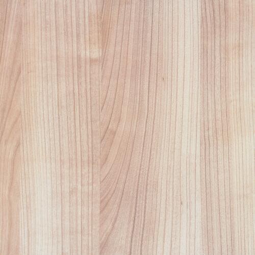 Roll- oder Standcontainer Solid