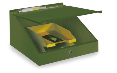 PAVOY Wandpult, RAL6011 Resedagrün