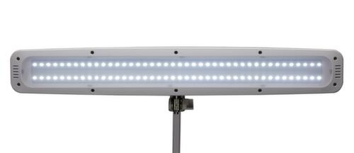MAUL Dimmbare LED-Tischleuchte MAULwork, Licht kaltweiß (tageslichtweiß), weiß