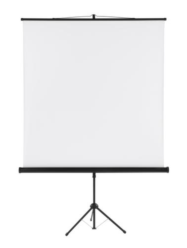 Franken Stativ-Leinwand