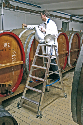 Krause Stehleiter auf Rollen