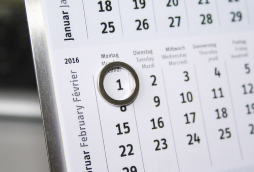 MAUL Ringmagnet, hellsilber, Ø 12 mm