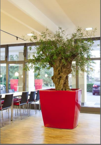 Pflanzkübel degardo® TREVIA 900 Q