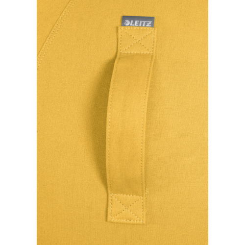 Leitz Sitzball Ergo Cosy