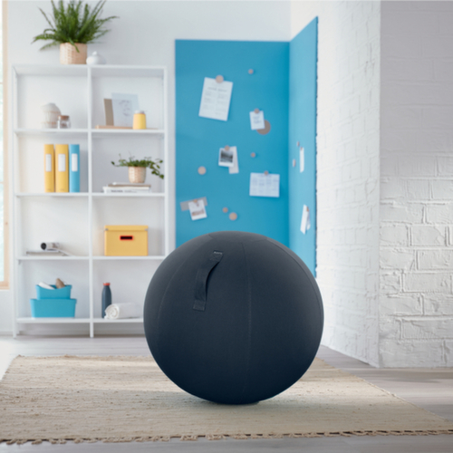 Leitz Sitzball Ergo Cosy, Sitz samtgrau