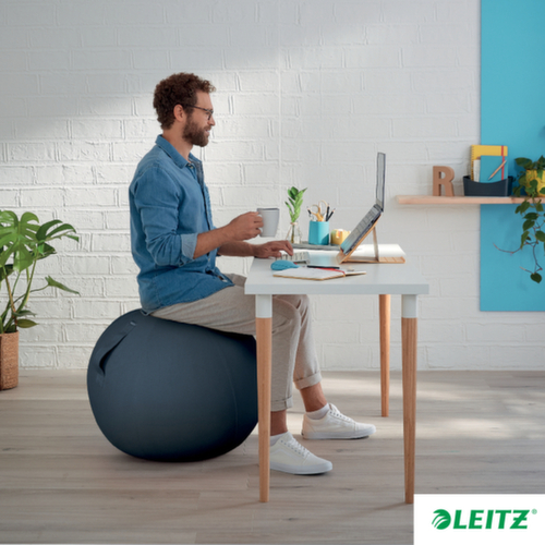 Leitz Sitzball Ergo Cosy, Sitz samtgrau