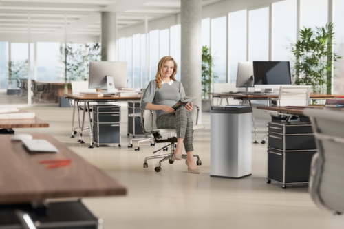 Hailo Abfallbehälter Big-Box Swing XL mit selbstschließendem Schwingdeckel, 52 l