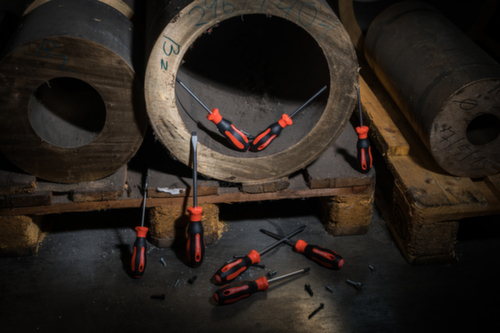 GEDORE R38402006 2K-Schraubendrehersatz T10-40 6-teilig