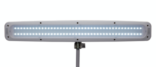 MAUL Dimmbare LED-Tischleuchte MAULwork, Licht kaltweiß (tageslichtweiß), weiß