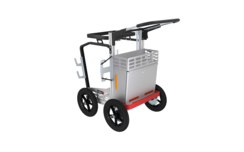 Flora Reinigungswagen Piccobello City