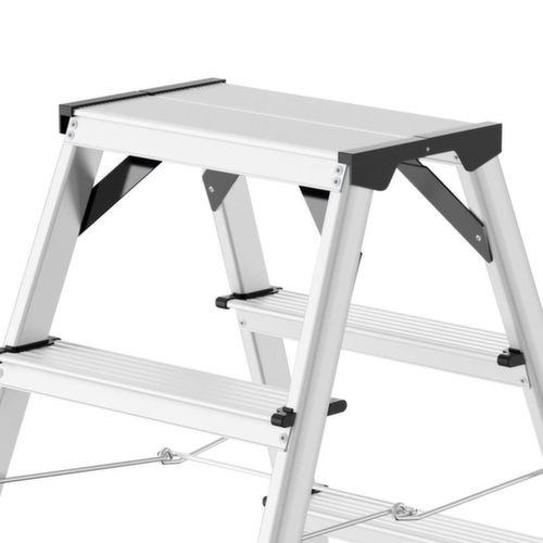 Hailo Stufen-Doppelleiter StandardLine D60