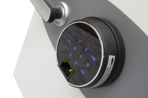 Phoenix Safe Brandschutzschrank Datacare