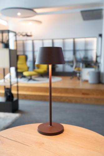 MAUL LED-Tischleuchte MAULnina, Licht warmweiß, braun