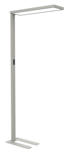 PEWETA Funk-Wanduhr mit arabischen Ziffern inkl. Batterien, mit arabischen Zahlen, Ø 200 mm