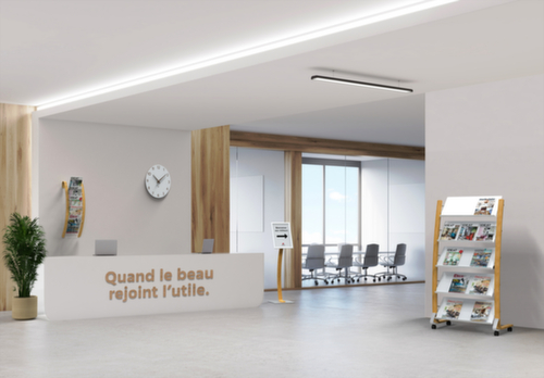 ALBA Mobiles Prospektregal DD5PMW, 5 Ablagen, Gestell natur