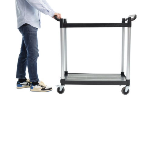 UDOBÄR Kunststoff-Etagenwagen 793x510 mm, Traglast 180 kg, 2 Etagen