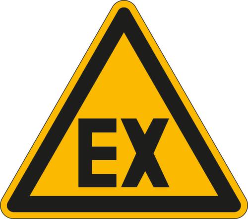 Warnschild vor explosionsfähiger Atmosphäre, Wandschild