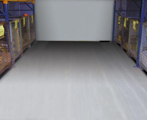 Moravia Hallenmarkierfarbe Paint PROline, RAL7030 Steingrau