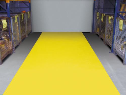 Moravia Hallenmarkierfarbe Paint PROline, RAL7030 Steingrau