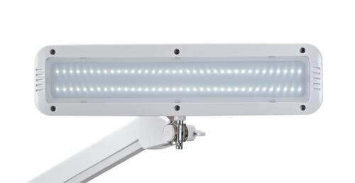 MAUL Kompakte LED-Arbeitsplatzleuchte MAULintro dimmbar, Licht kaltweiß (tageslichtweiß), weiß