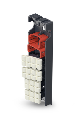 Hailo Wechselfuß-Set EasyClix Living für Stufenstehleiter