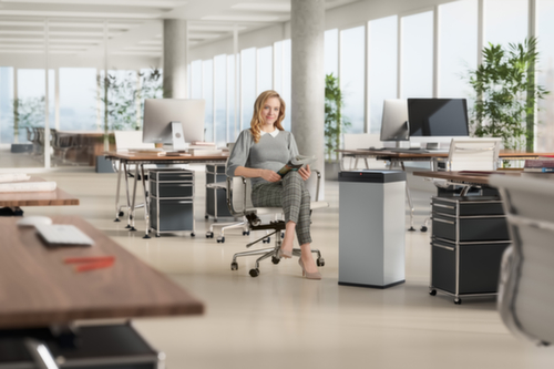 Hailo Abfallbehälter Big-Box Swing XL mit selbstschließendem Schwingdeckel, 52 l, silber