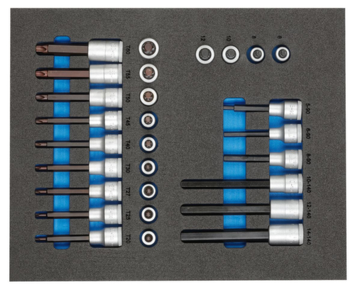 GEDORE TS CT2-ITX19 Satz Schraubendrehereinsätze 1/2" in 2/4 Check-Tool-Modul