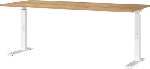 Höhenverstellbarer Schreibtisch GW-MAILAND 7912