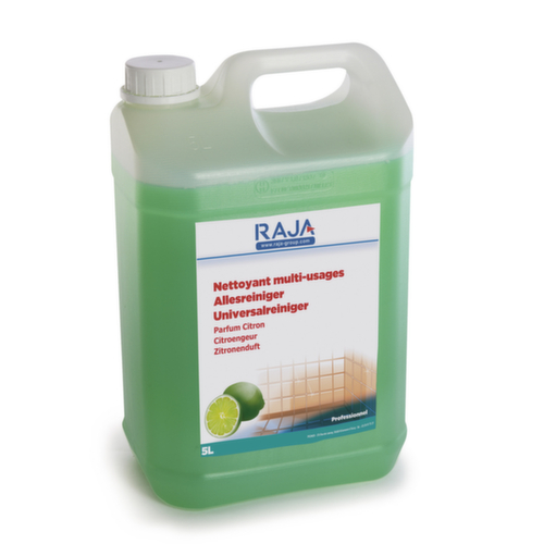 Allzweckreiniger Zitrone 5l