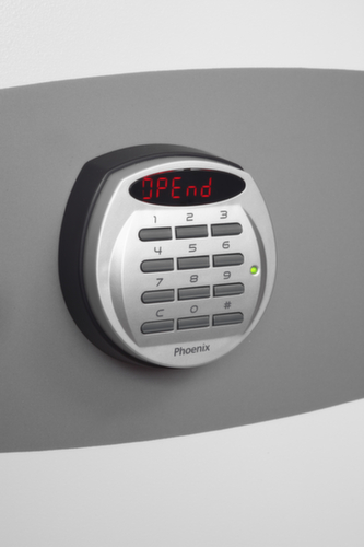 Phoenix Safe Feuerschutztresor Fire Fighter