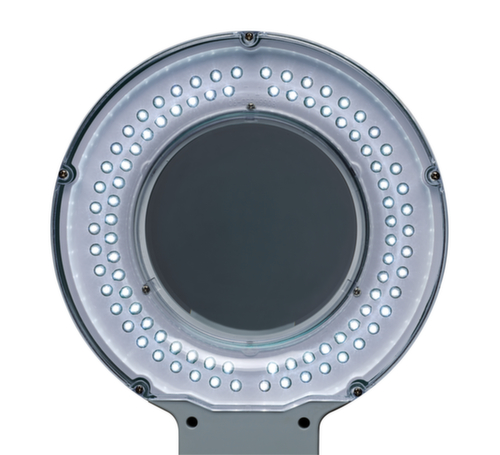 MAUL LED-Lupenleuchte MAULviso mit rundem Kopf, Licht kaltweiß (tageslichtweiß), weiß Detail 1 L