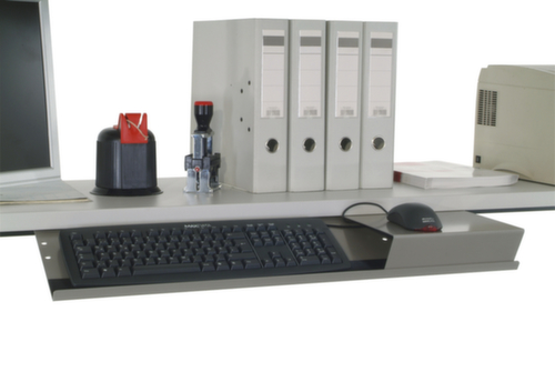 Rocholz Tastatur- und Mausablage 2000 für Packtisch, Höhe 20 mm Standard 2 L