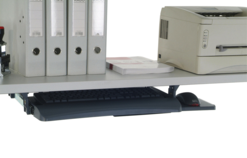 Rocholz Tastatur- und Mausablage 2000 für Packtisch, Höhe 110 mm Standard 1 L