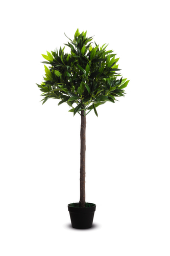 Paperflow Kunstpflanze Olivenbaum, Höhe 1250 mm Standard 1 L
