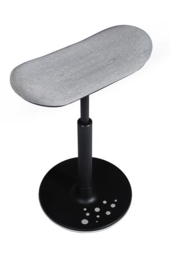 Topstar Sitz-/Stehhilfe Sitness H2 mit Skateboard-Sitz, Sitzhöhe 570 - 770 mm, Sitz grau Standard 2 L