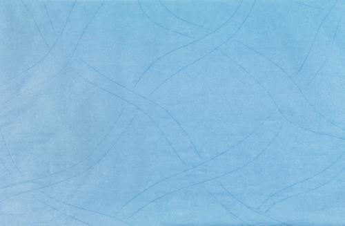 Tork Starke Mehrzweck-Wischtuchrolle, 1000 Tücher, Tissue Detail 1 L