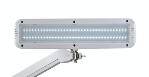 MAUL Kompakte LED-Arbeitsplatzleuchte MAULintro dimmbar, Licht kaltweiß (tageslichtweiß), weiß Detail 1 L