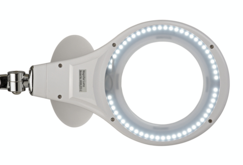 MAUL Elegante LED-Lupenleuchte MAULmakro, Licht kaltweiß (tageslichtweiß), weiß Detail 1 L