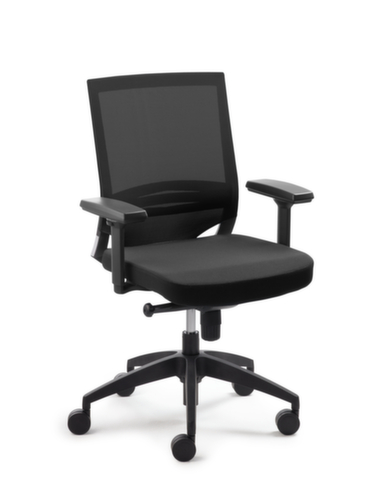Mayer Sitzmöbel Armlehnen für Bürodrehstuhl, mehrfach verstellbar Standard 2 L