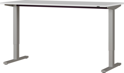 Elektrisch höhenverstellbarer Schreibtisch Standard 3 L