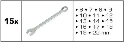 Ring-Maulschlüssel-Satz Standard 10 L