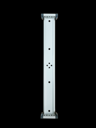tarifold Wandhalter, DIN A4, zum Schrauben Standard 1 L