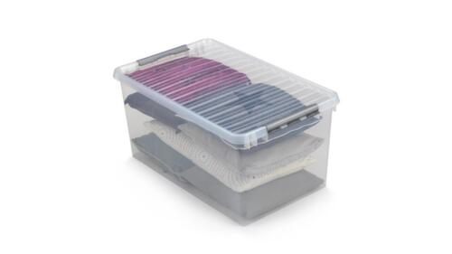 Raja Aufbewahrungsbox ECO, transparent, Inhalt 52 l, Deckel Milieu 2 L