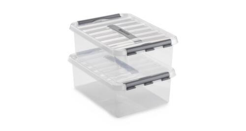 Raja Aufbewahrungsbox ECO, transparent, Inhalt 15 l, Deckel mit Griff Milieu 4 L