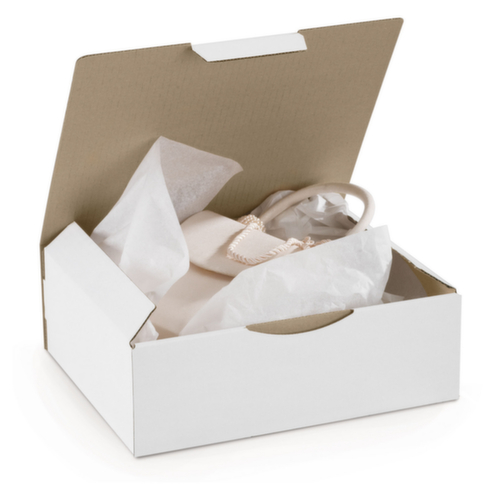Raja Postkarton RAJAPOST, 1-wellig, 240 x 170 x 50 mm Standard 1 L