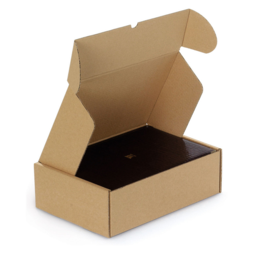 Versandkarton, 1-wellig, 330 x 250 x 100 mm Standard 1 L