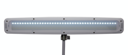 MAUL Dimmbare LED-Tischleuchte MAULwork, Licht kaltweiß (tageslichtweiß), weiß Detail 4 L