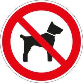Verbotsschild Mitführen von Hunden verboten, Wandschild, Standard