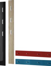 Wandgarderobe Colorado mit ausklappbaren Haken